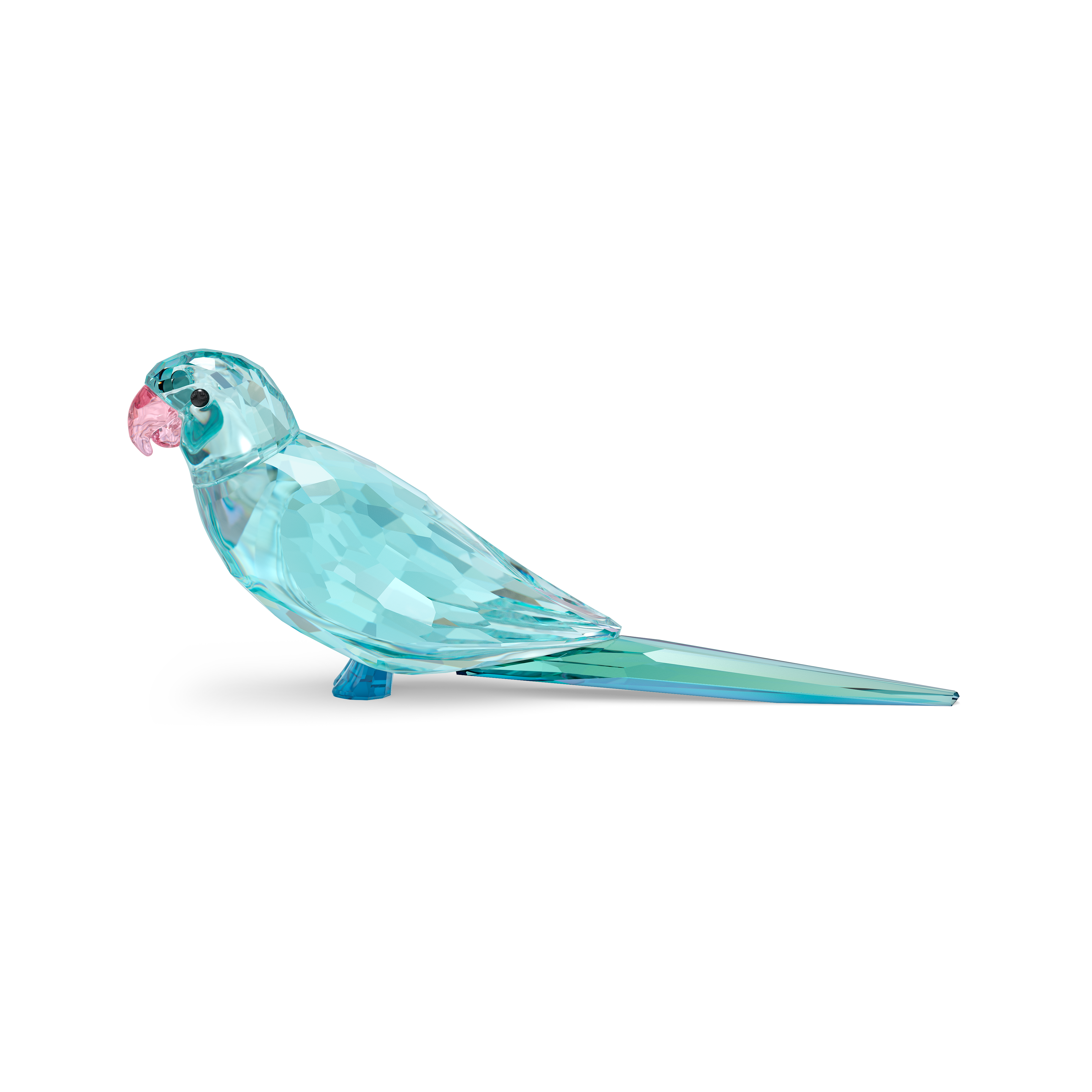 Swarovski Jungle Beats Blue Parakeet Paco 5574519