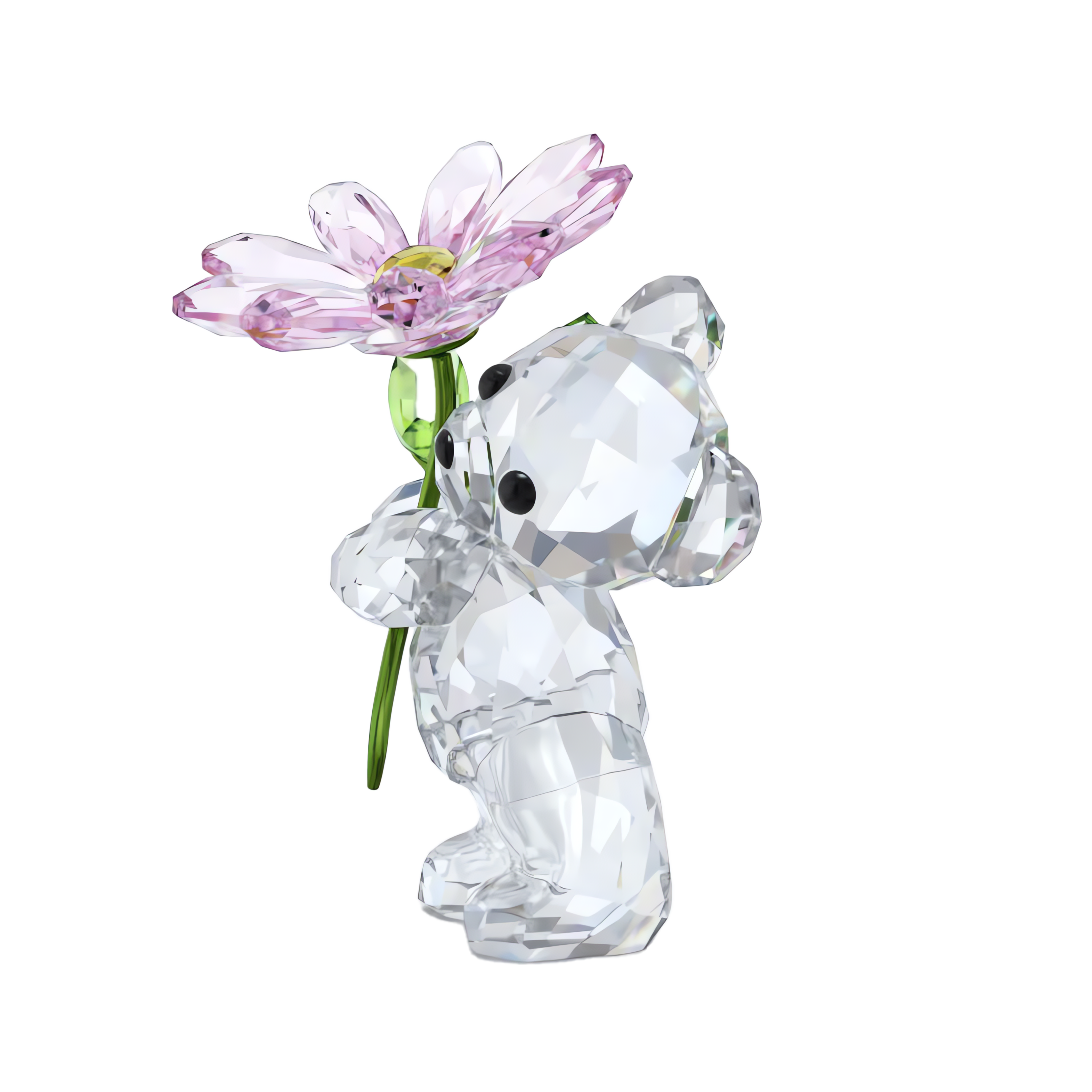 Swarovski Kris Bear A Daisy for You 5675327