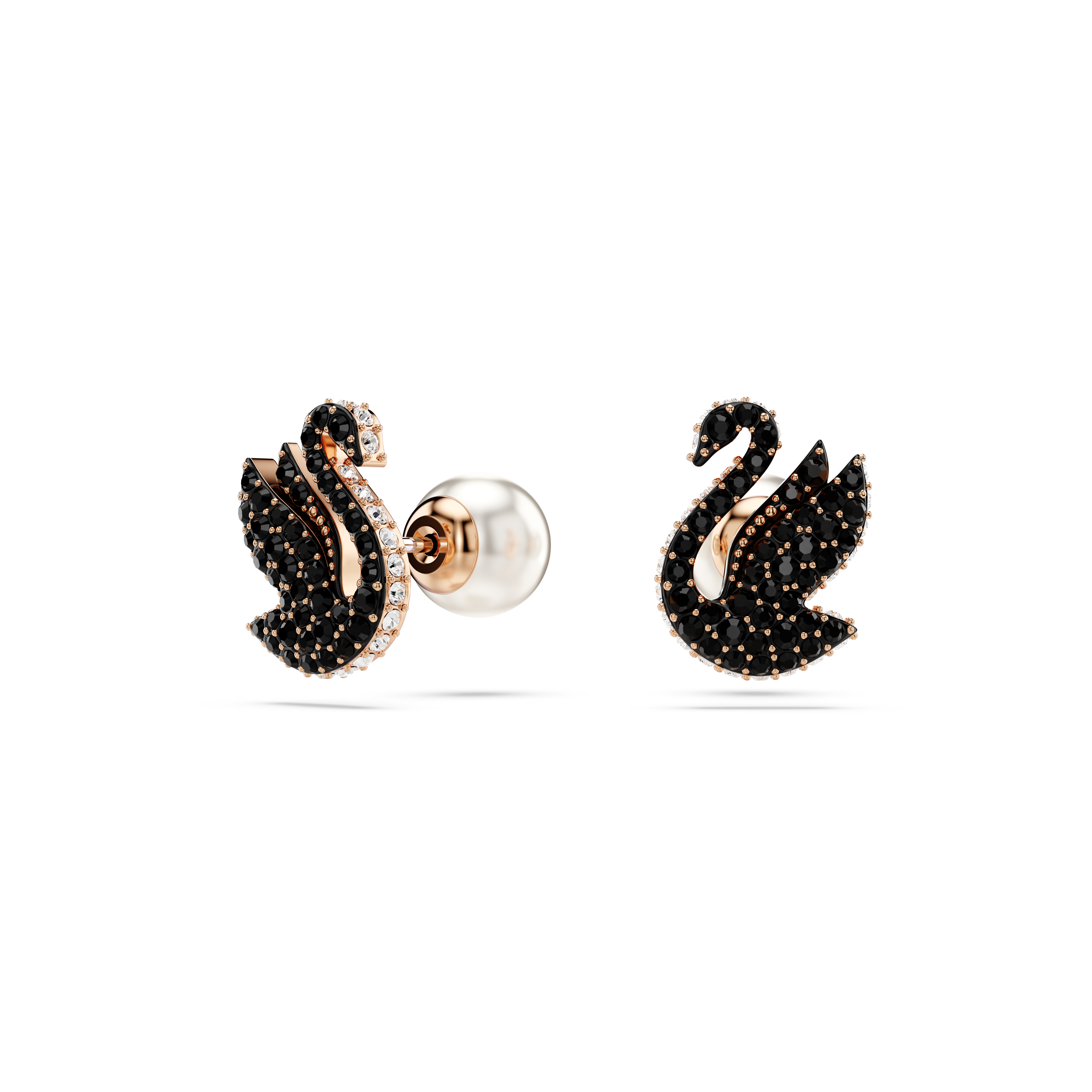 Swarovski Swan stud earrings, Crystal pearl, Swan, Black, Rose gold-tone plated 5684608