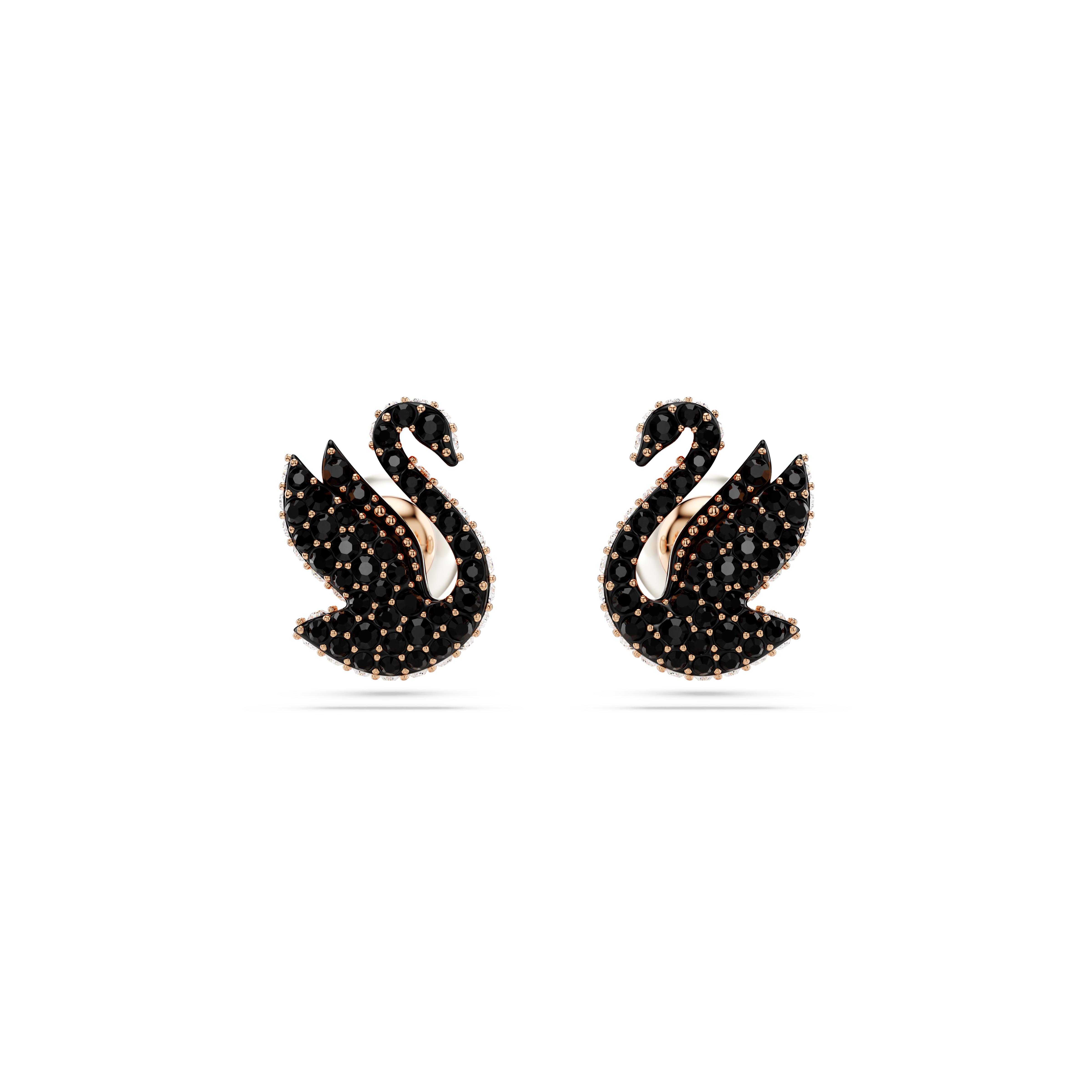 Swarovski Swan stud earrings, Crystal pearl, Swan, Black, Rose gold-tone plated 5689646