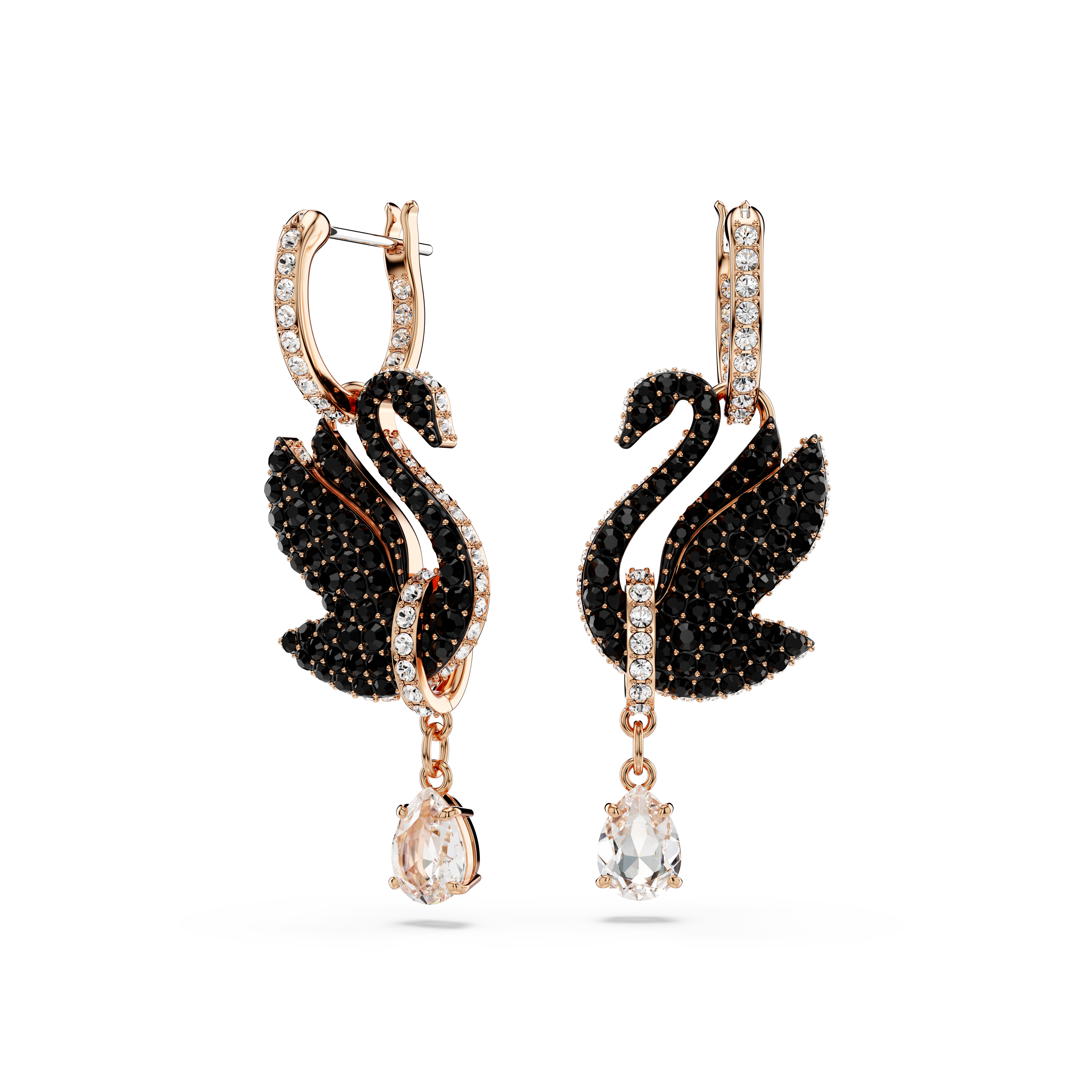 Swarovski Swan drop earrings, Swan, Black, Rose gold-tone plated 5689659