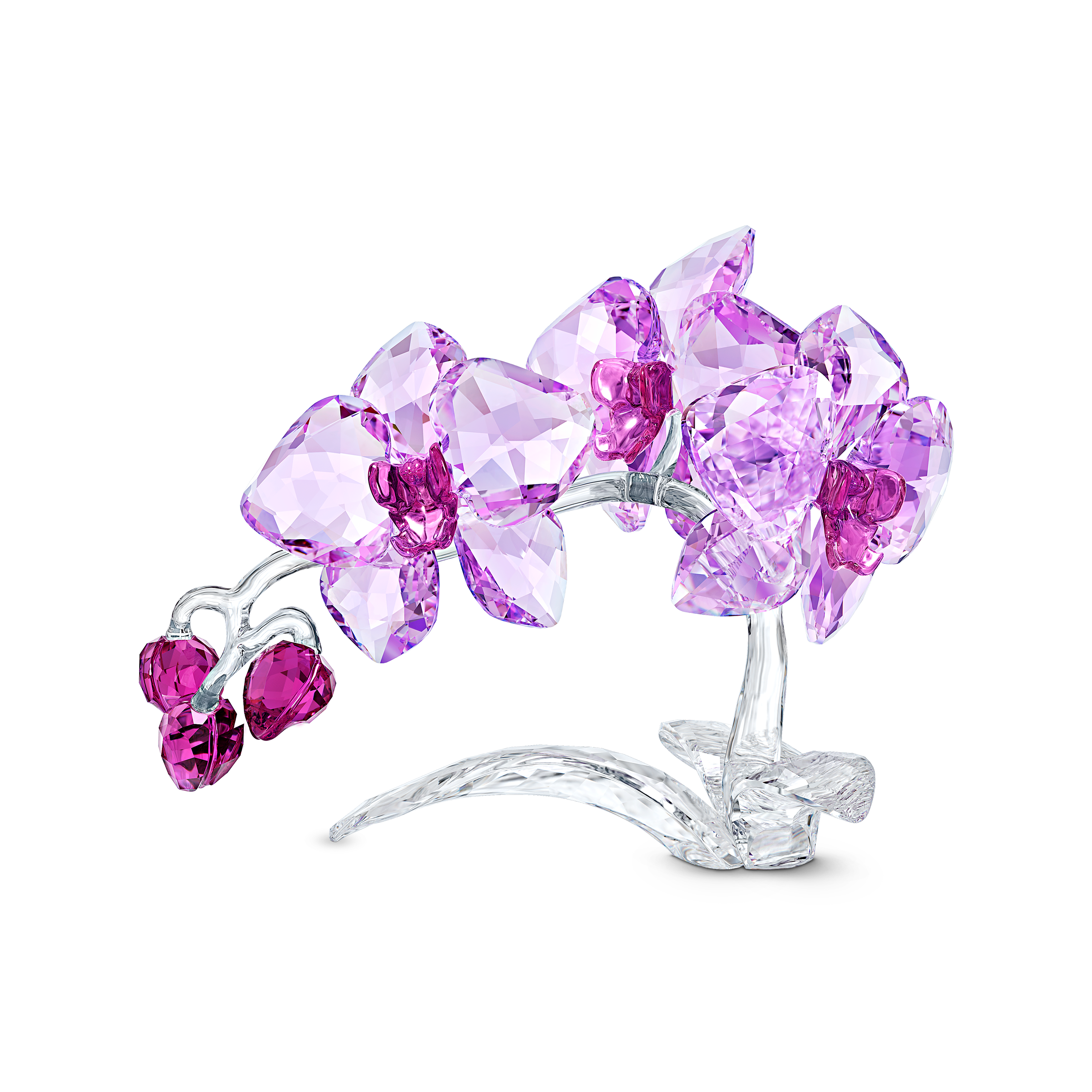 SWAROVSKI CRYSTAL FLOWERS ORCHID 5520373