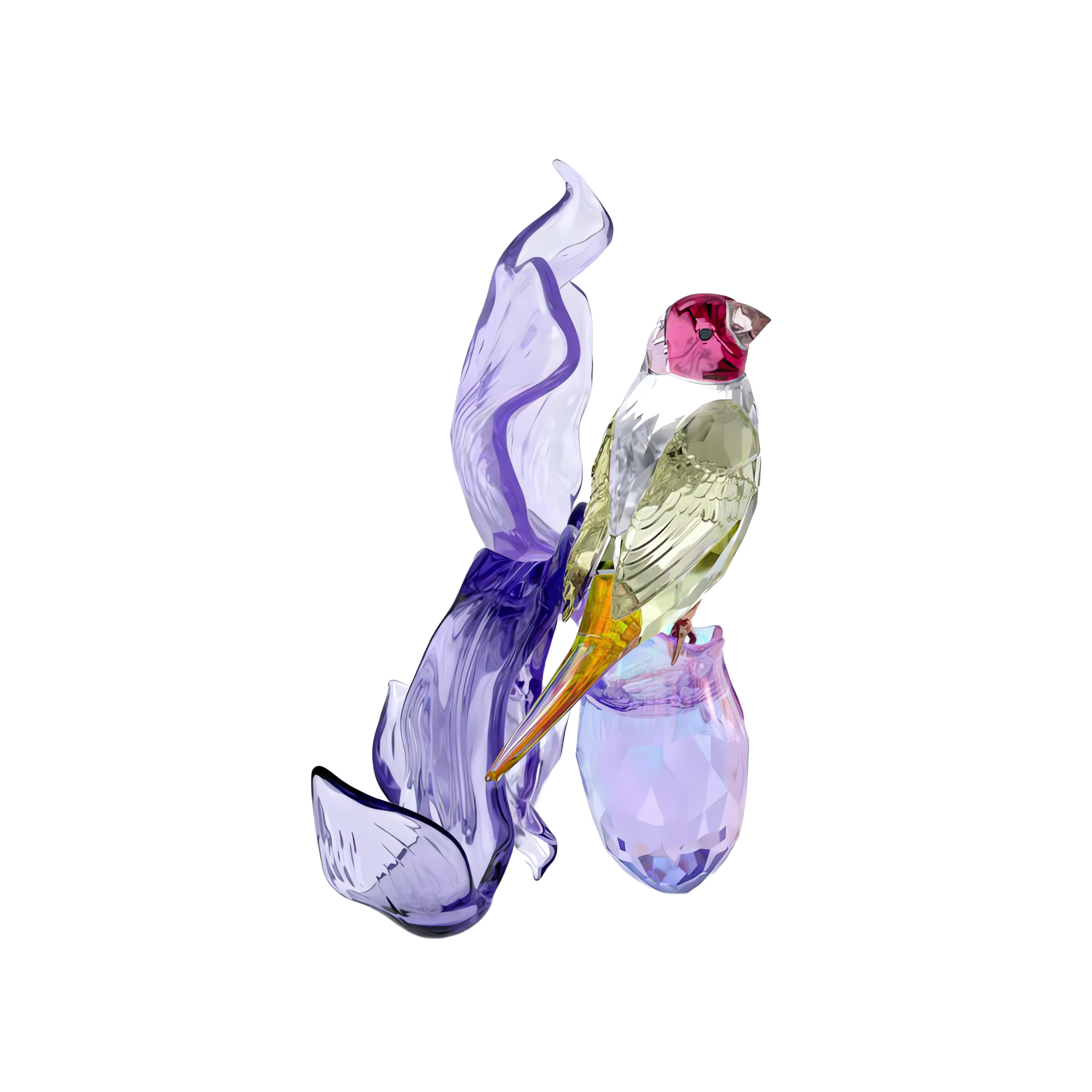Swarovski Idyllia Gouldian Finch and Orchid 5675211