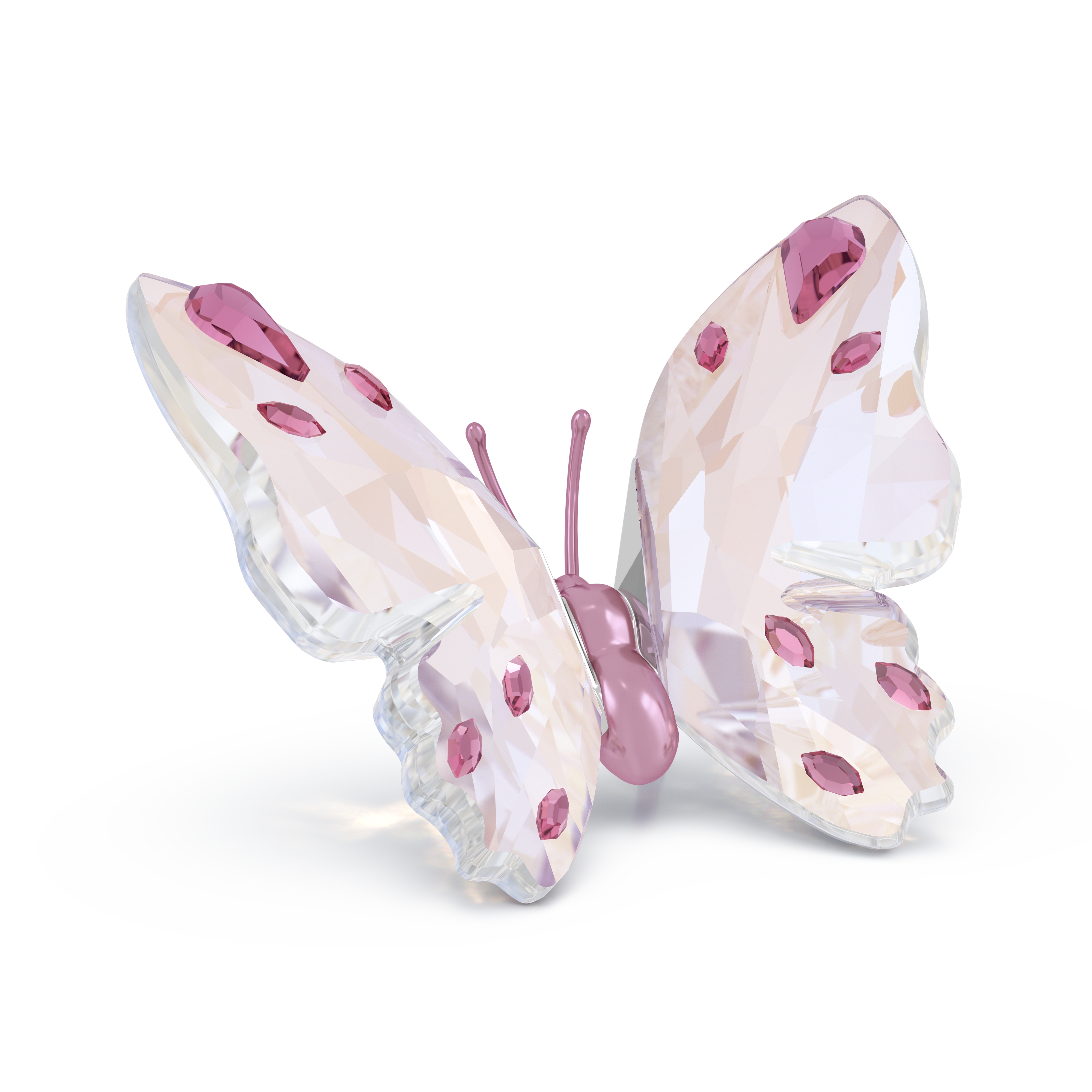 Swarovski Idyllia Butterfly, Small 5691959