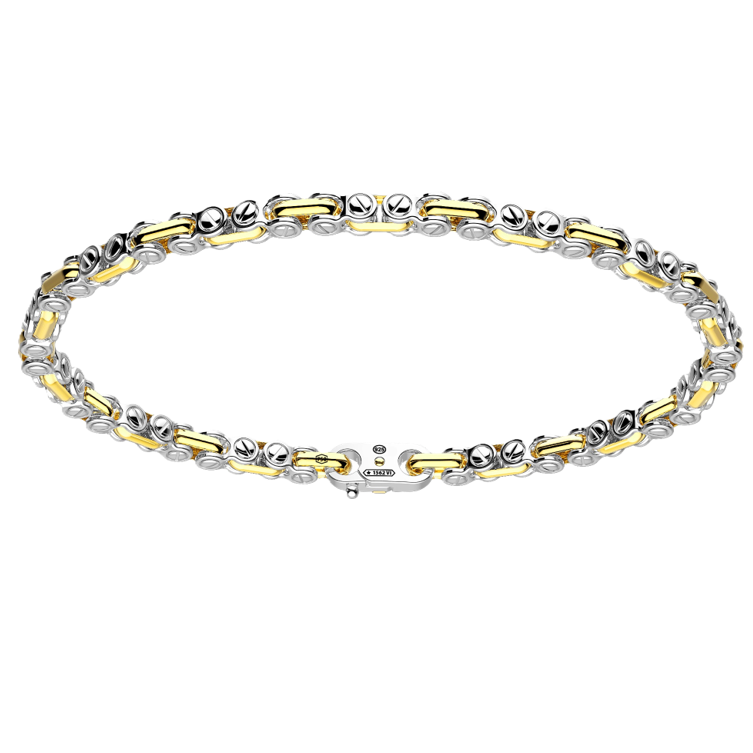 Silver and Gold Chain Bracelet